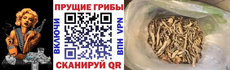 цены   Спас-Деменск  KRAKEN ссылка  Галлюциногенные грибы Cubensis 